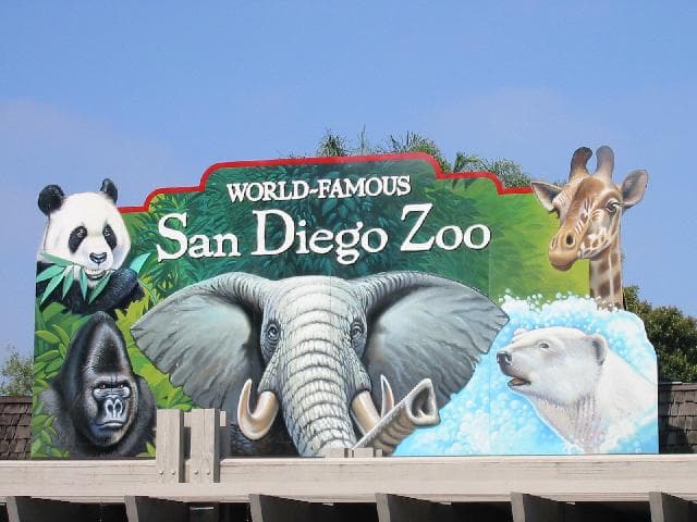San Diego Zoo - Travel destination