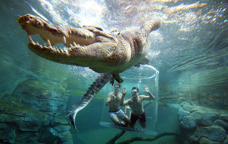 Croc Cage Entry - Travel destination