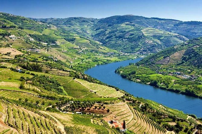 Douro Valley Wine Tour - Travel destination