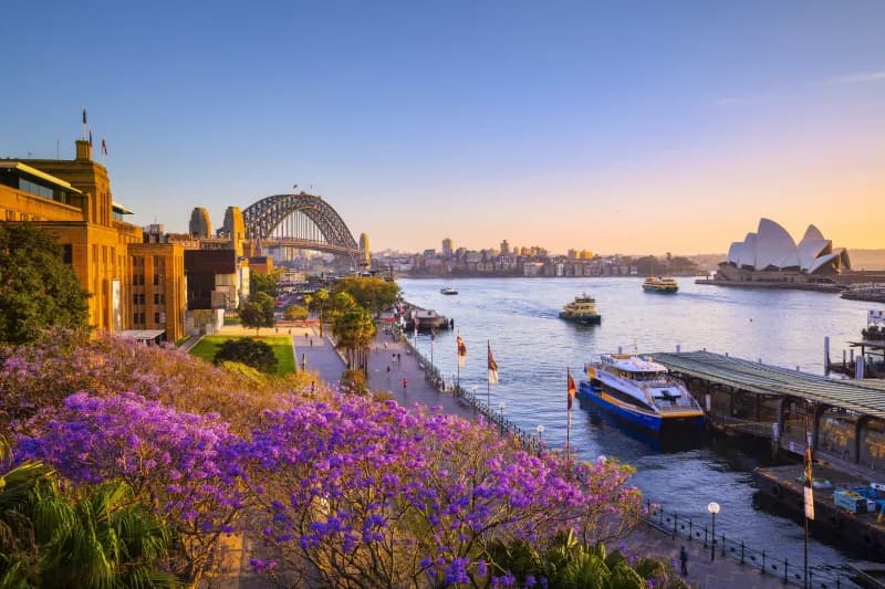 Explore top stops for a Brisbane to Sydney road trip in a campervan, motorhome or RV! Enjoy scenic routes, attractions, and hidden gems along the way.