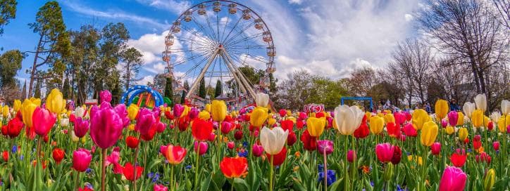Spring is in full swing here in Australia, and there's no shortage of things going on all across the country. Here's our top activities you can't miss!