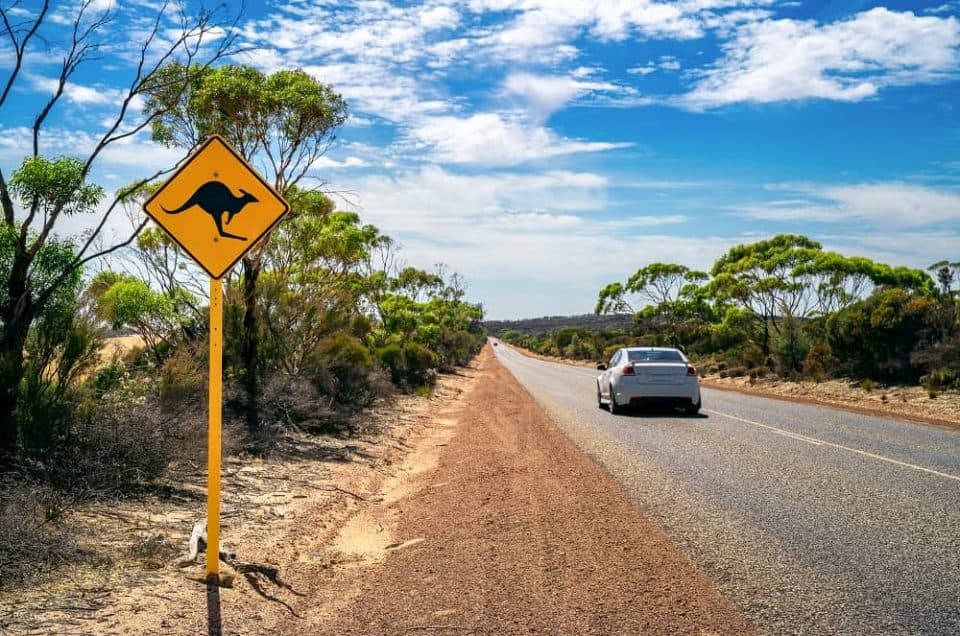 If you're travelling Australia for the first time and planning on renting a vehicle then check out this first timer's guide to driving in Australia.