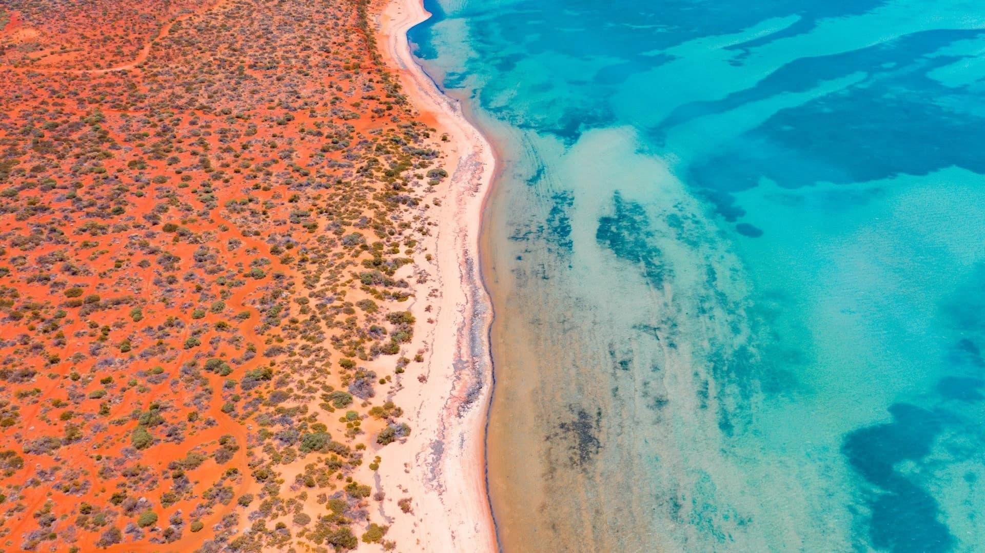 Here’s your complete Coral Coast guide, packed with must-see stops, driving tips, and hidden gems.