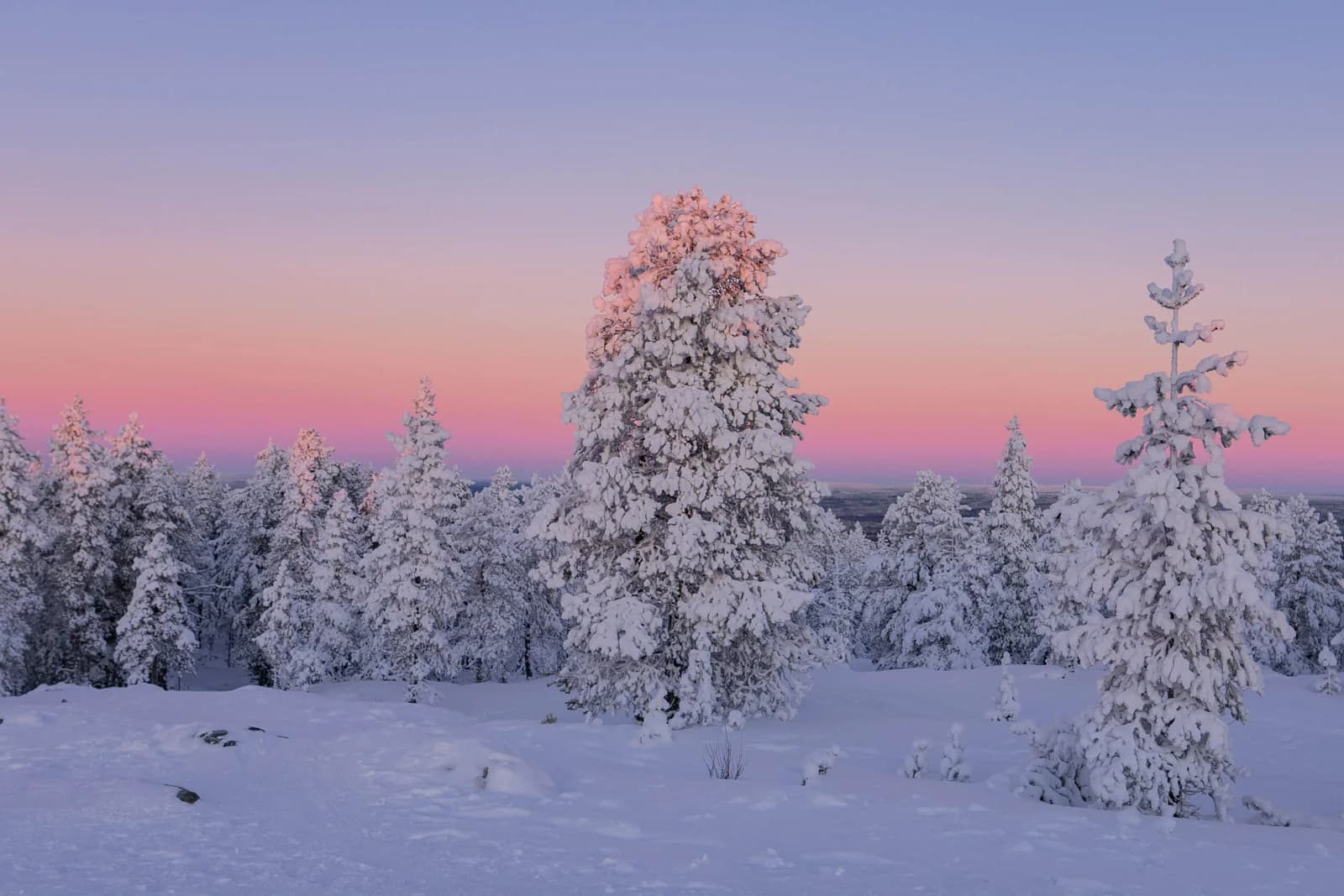 A Helsinki to Rovaniemi road trip is the best way to see Finland’s wild landscapes, lakes, and the Arctic Circle — especially when it's €1/day with Imoova!