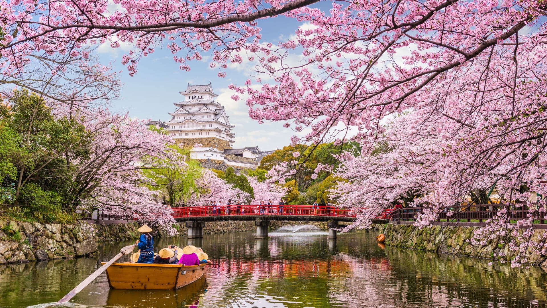 Think Japan is too expensive? Think again. With a few insider tricks you can travel Japan — from ancient temples to neon cities — without blowing your budget.
