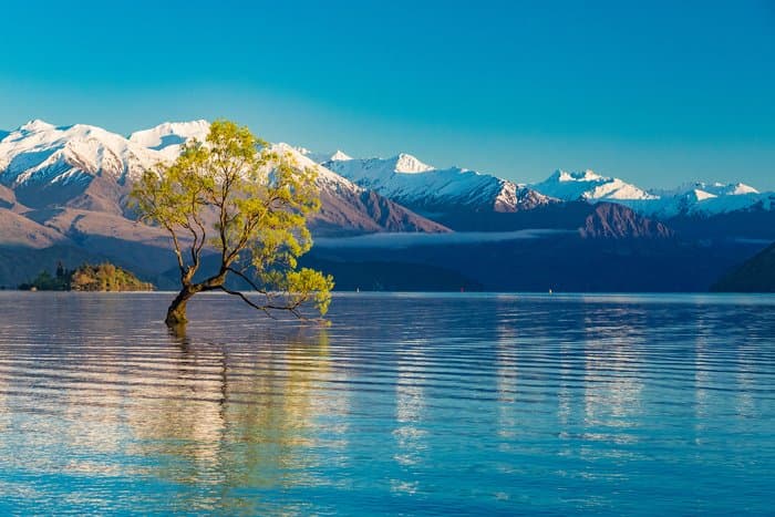 Discover New Zealand's lesser-known South Island road trip spots—perfect for campervans, with lakes, hikes, and budget-friendly surprises.